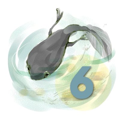 2018年6月号 6のイラスト